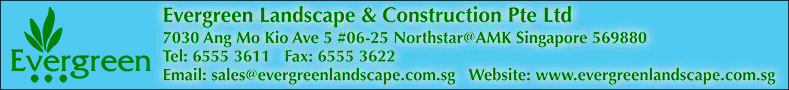 EVERGREEN LANDSCAPE & CONSTRUCTION PTE LTD