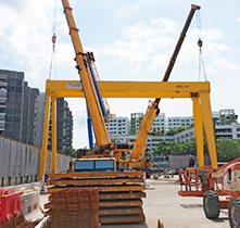 RIGID CRANE WITH AI HOIST